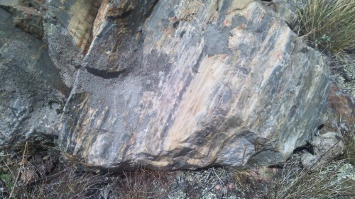 Гигантские зелёные валуны для ландшафтного дизайна весом более 5 тонн купить в Чернушке