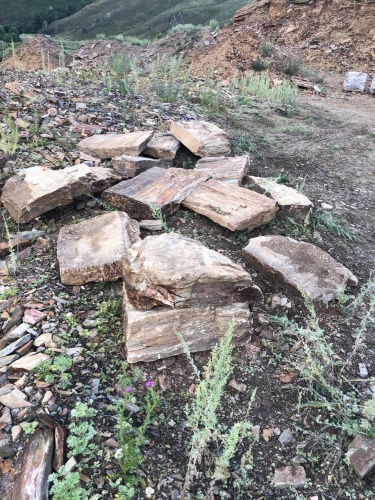 Плитняк кора дерева 50-100мм для пошаговых дорожек купить в Чернушке